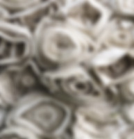 Image by Ethan Bodnar